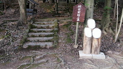 満願寺 石段とモルックピン